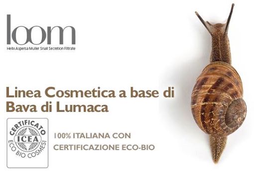 BIOEARTH LOOM