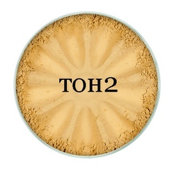 Минеральная основа  для жирной кожи тон 2, 5 г