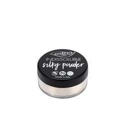 Купить Пудра шелковая 01 SILKY POWDER (Рассыпчатая пудра) в Москве