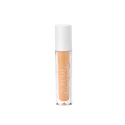 Купить Консилер с эффектом сияния 01 / Sublime Luminous Concealer (Корректор) в Москве